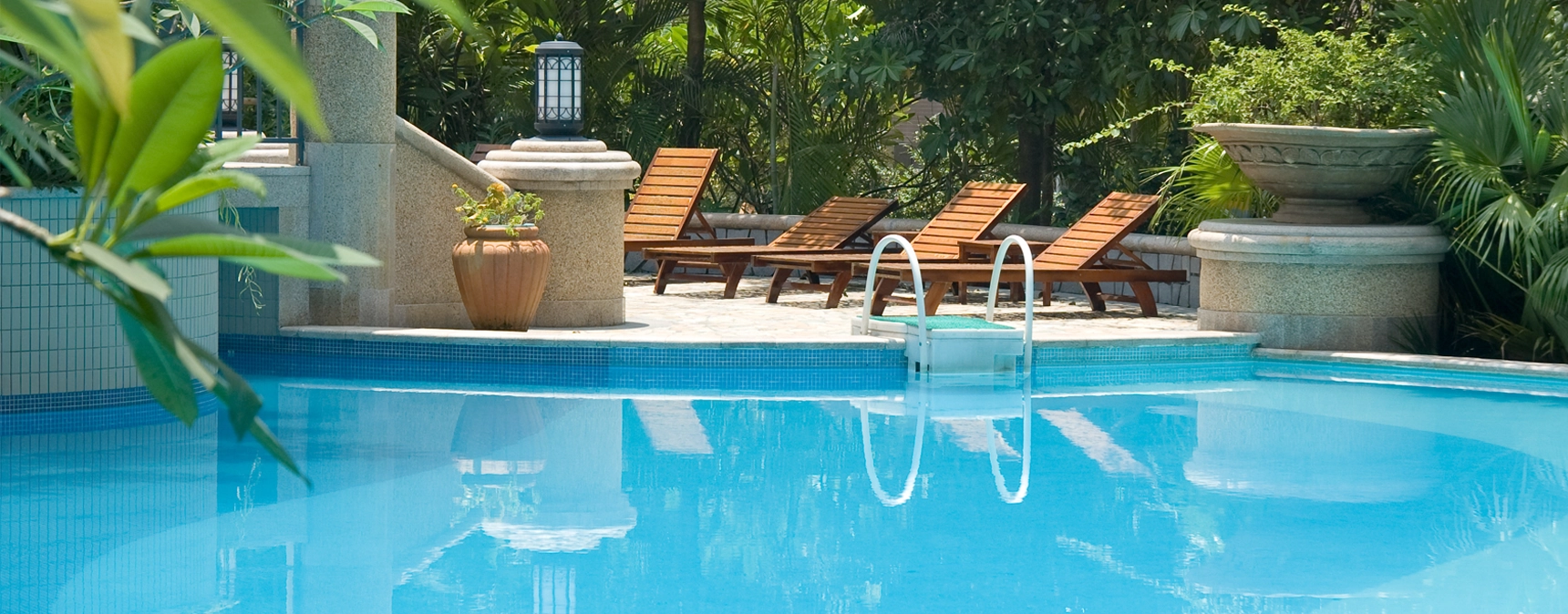 Dolphin Tropical clean pool